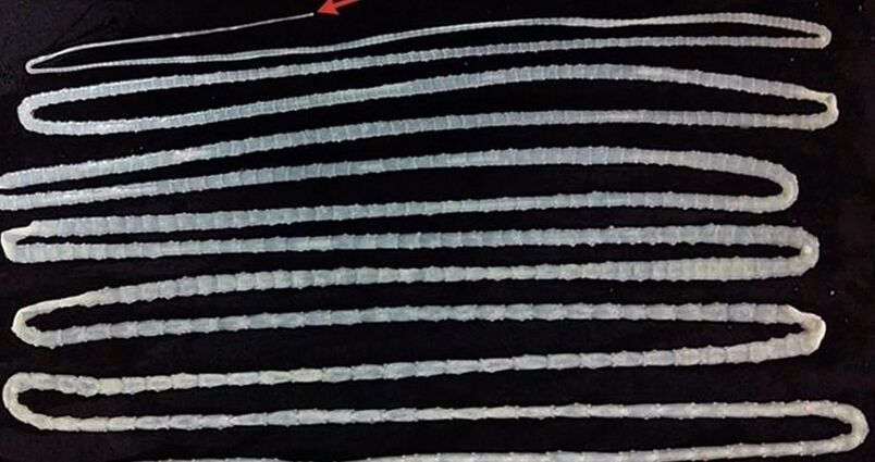 Ариэль Пайпер Фаунмен порно видео Оливия Уайлд тұсқағаз жалаңаш